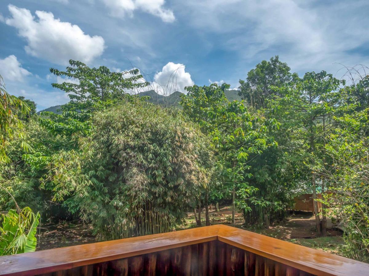 Blue Moon Guesthouse Puerto Princesa Ngoại thất bức ảnh
