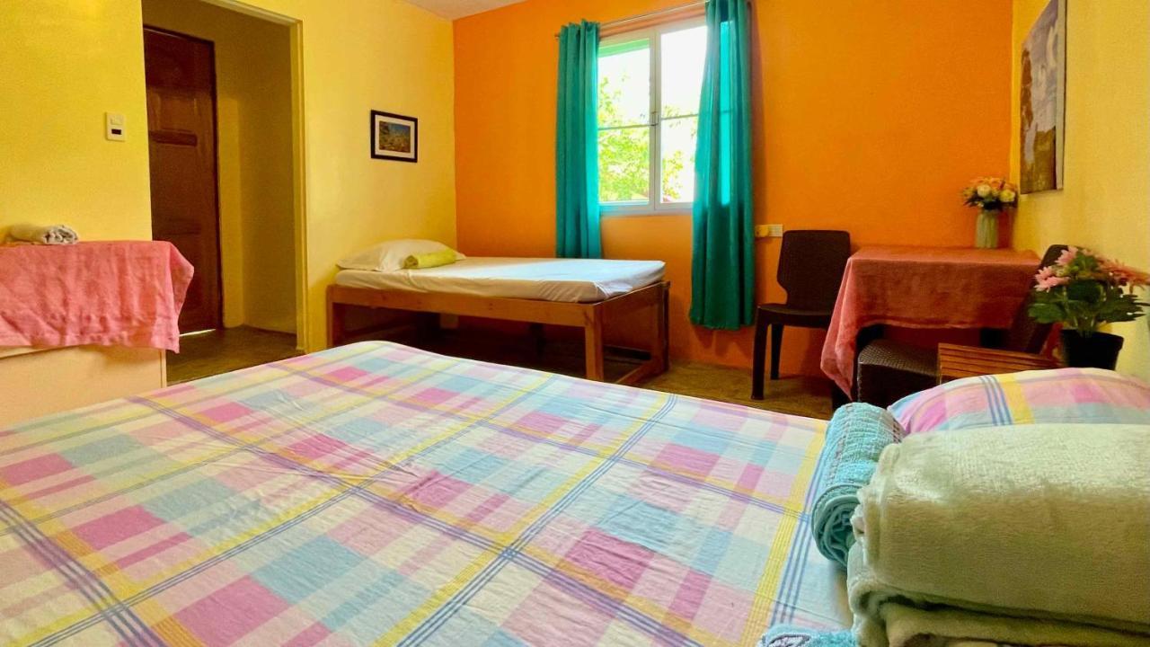 Blue Moon Guesthouse Puerto Princesa Ngoại thất bức ảnh