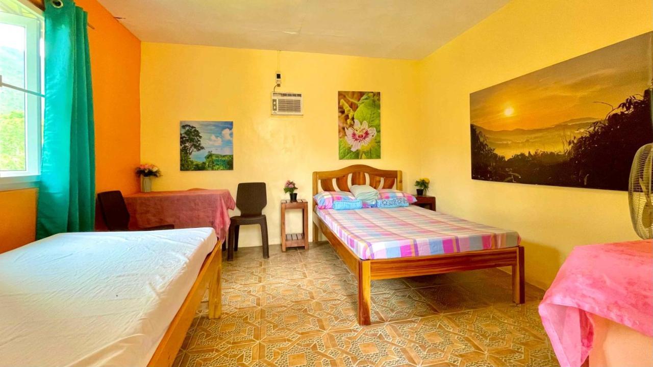 Blue Moon Guesthouse Puerto Princesa Ngoại thất bức ảnh