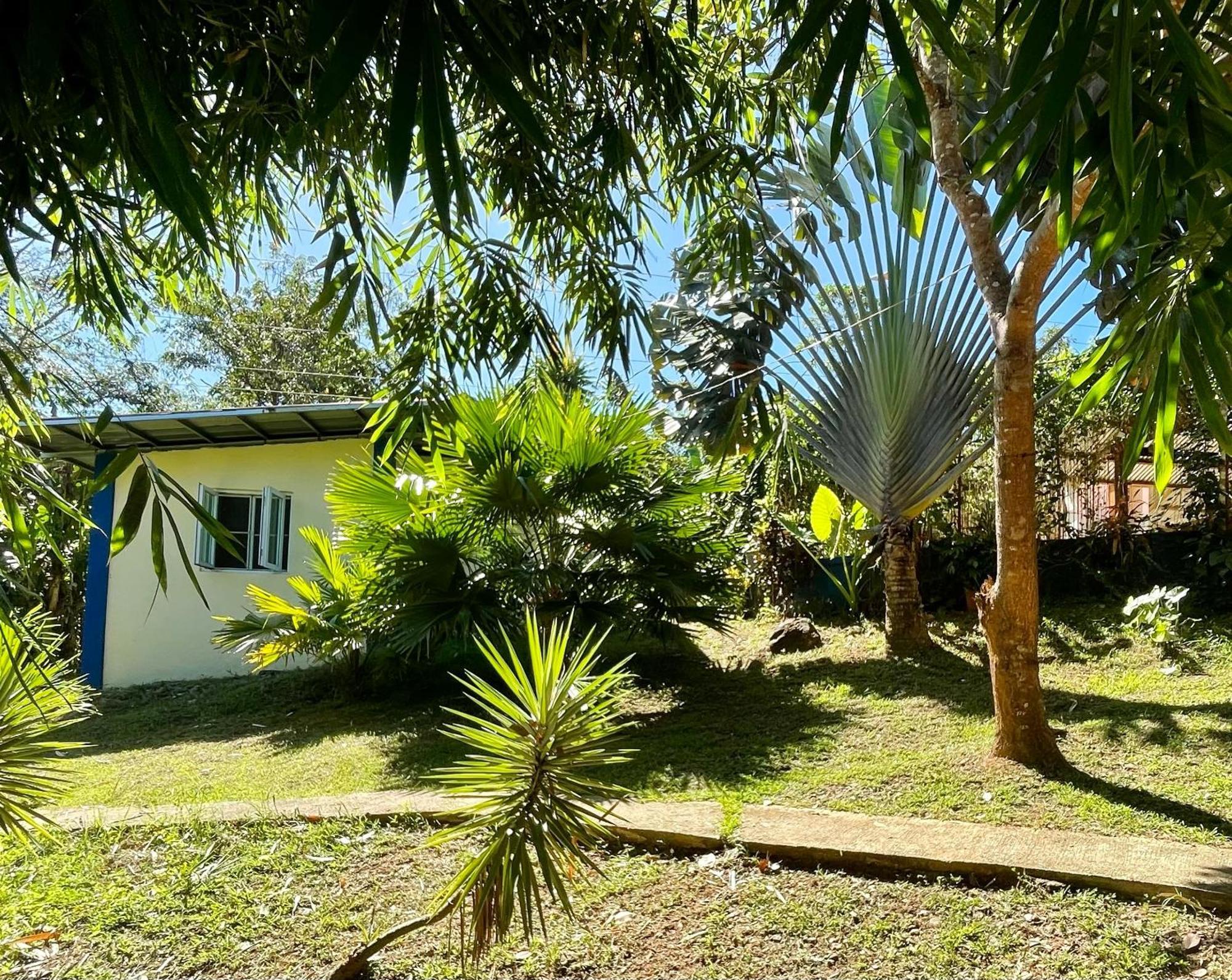 Blue Moon Guesthouse Puerto Princesa Ngoại thất bức ảnh