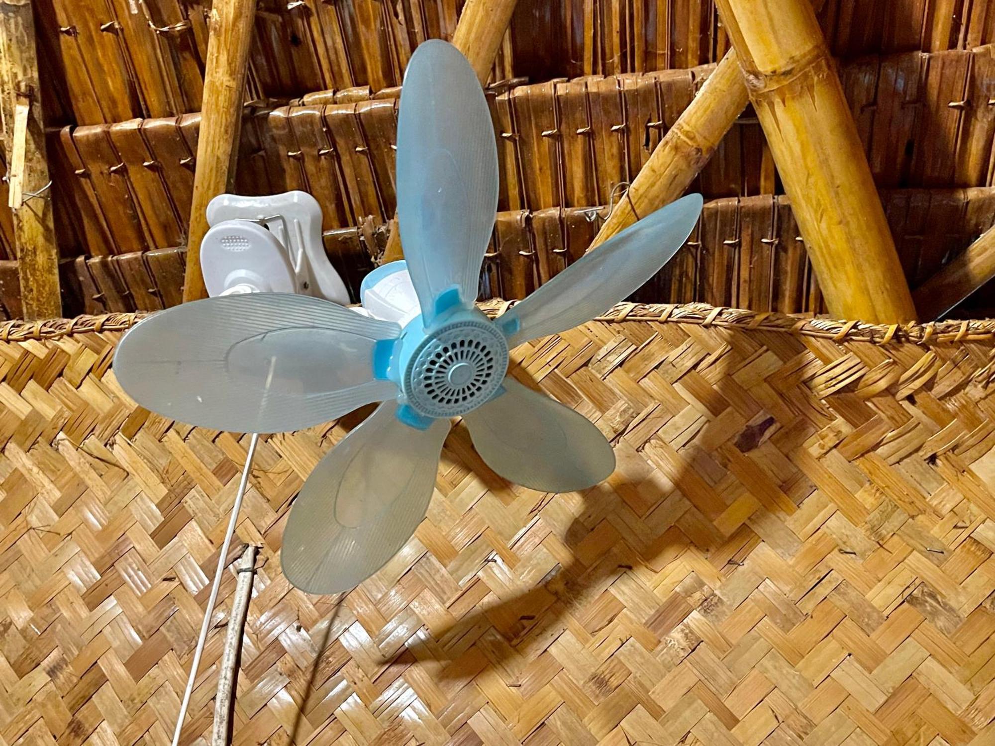 Blue Moon Guesthouse Puerto Princesa Ngoại thất bức ảnh