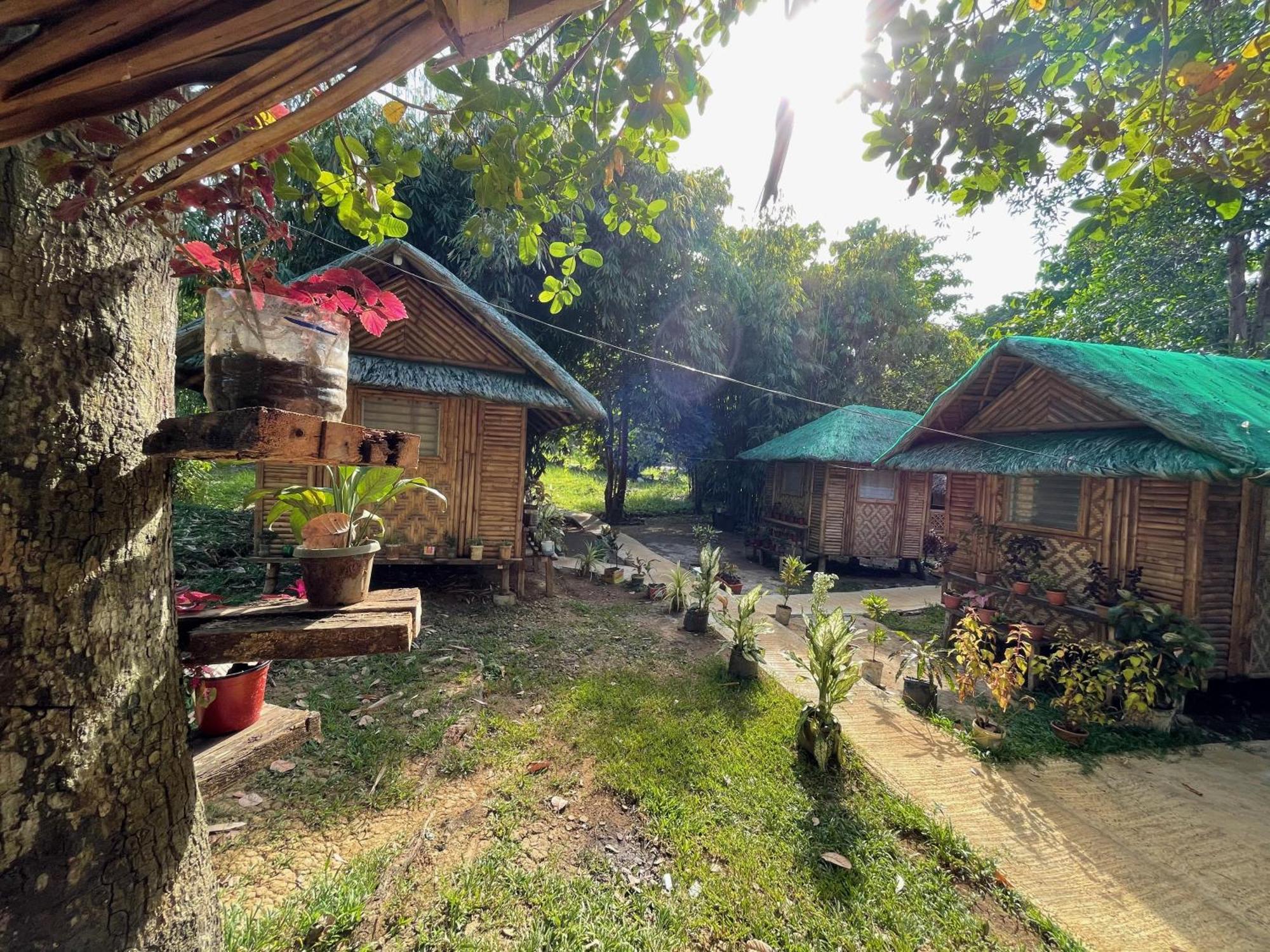 Blue Moon Guesthouse Puerto Princesa Ngoại thất bức ảnh