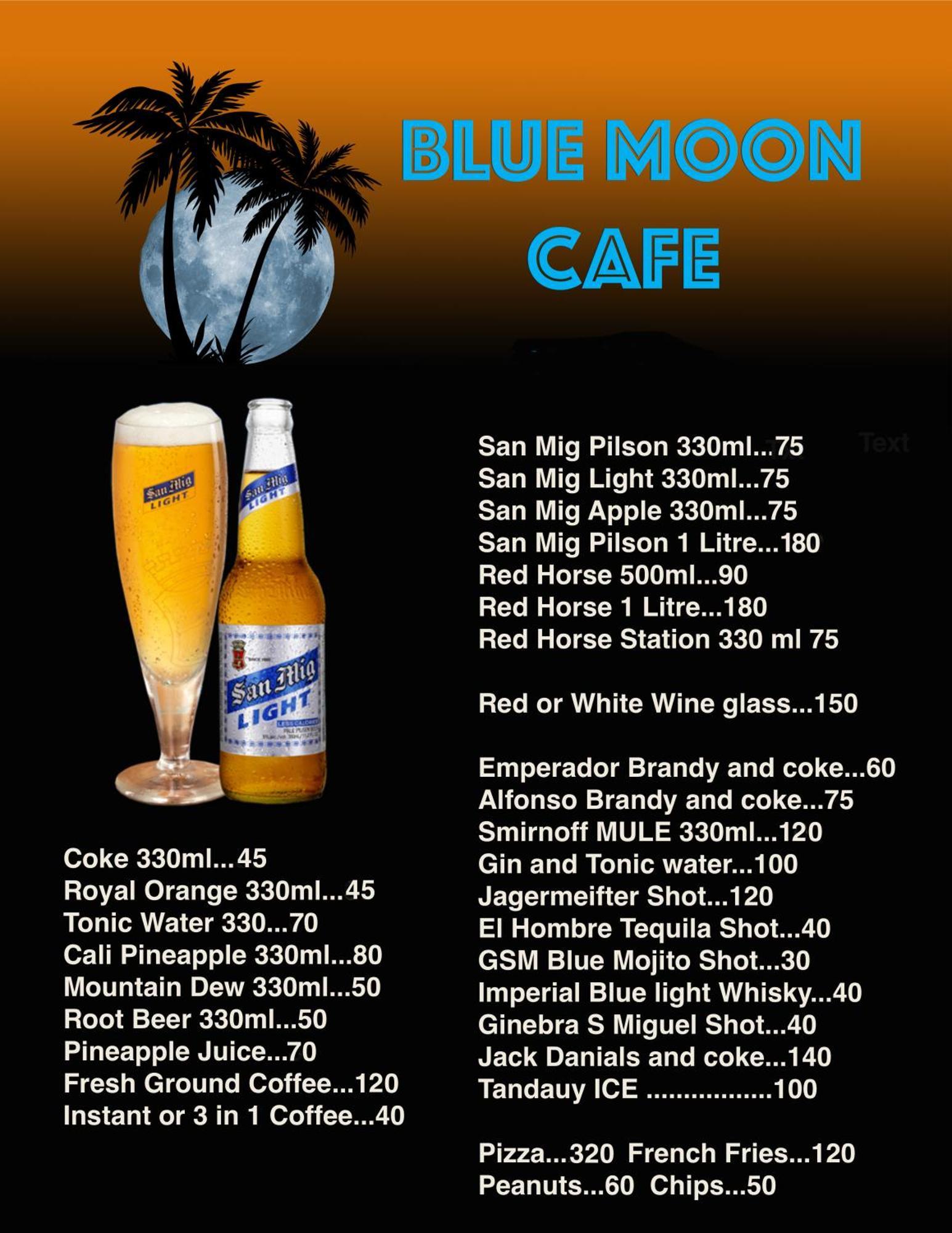 Blue Moon Guesthouse Puerto Princesa Ngoại thất bức ảnh