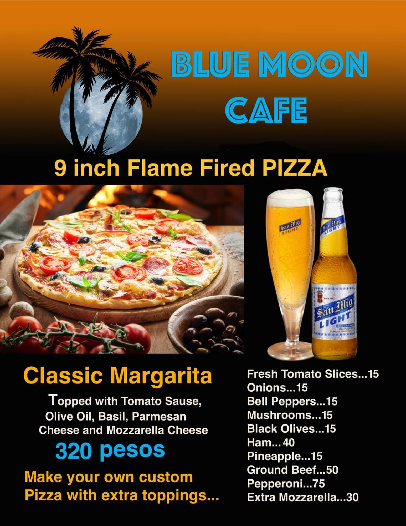Blue Moon Guesthouse Puerto Princesa Ngoại thất bức ảnh
